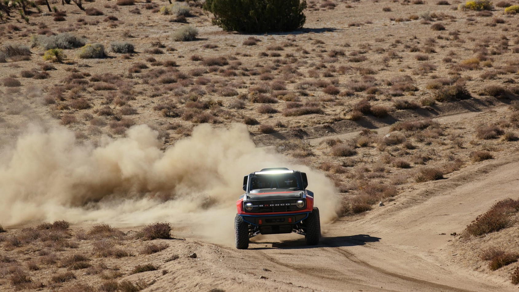 Ford Bronco DR (Desert Racer)