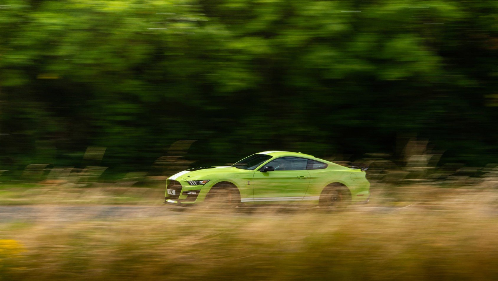 Ford Mustang Shelby GT500 - dynamiczne ujęcie