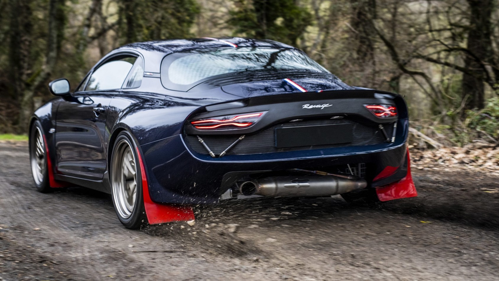 Alpine Ravage - podczas rajdu