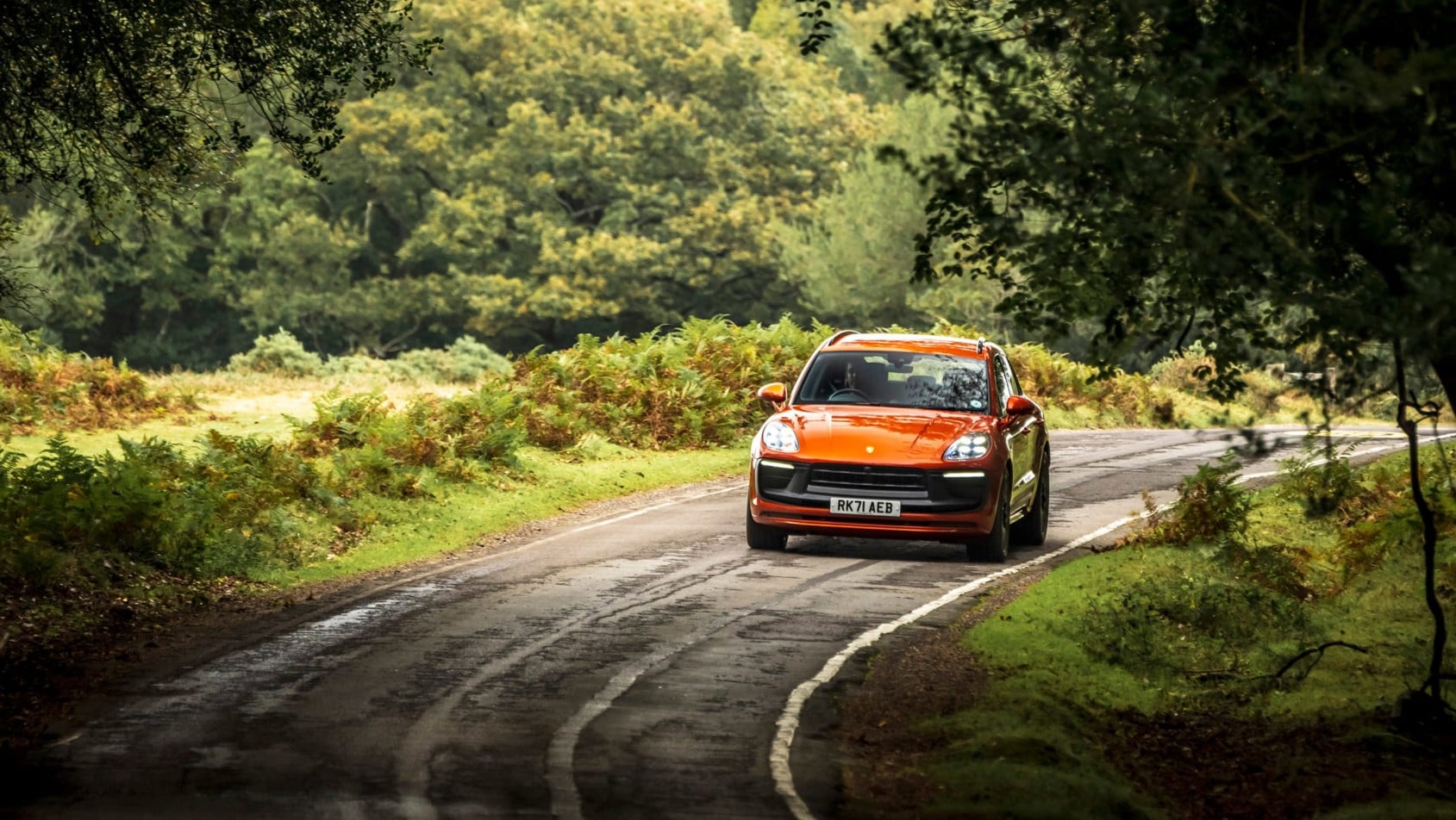 Porsche Macan na leśnej drodze