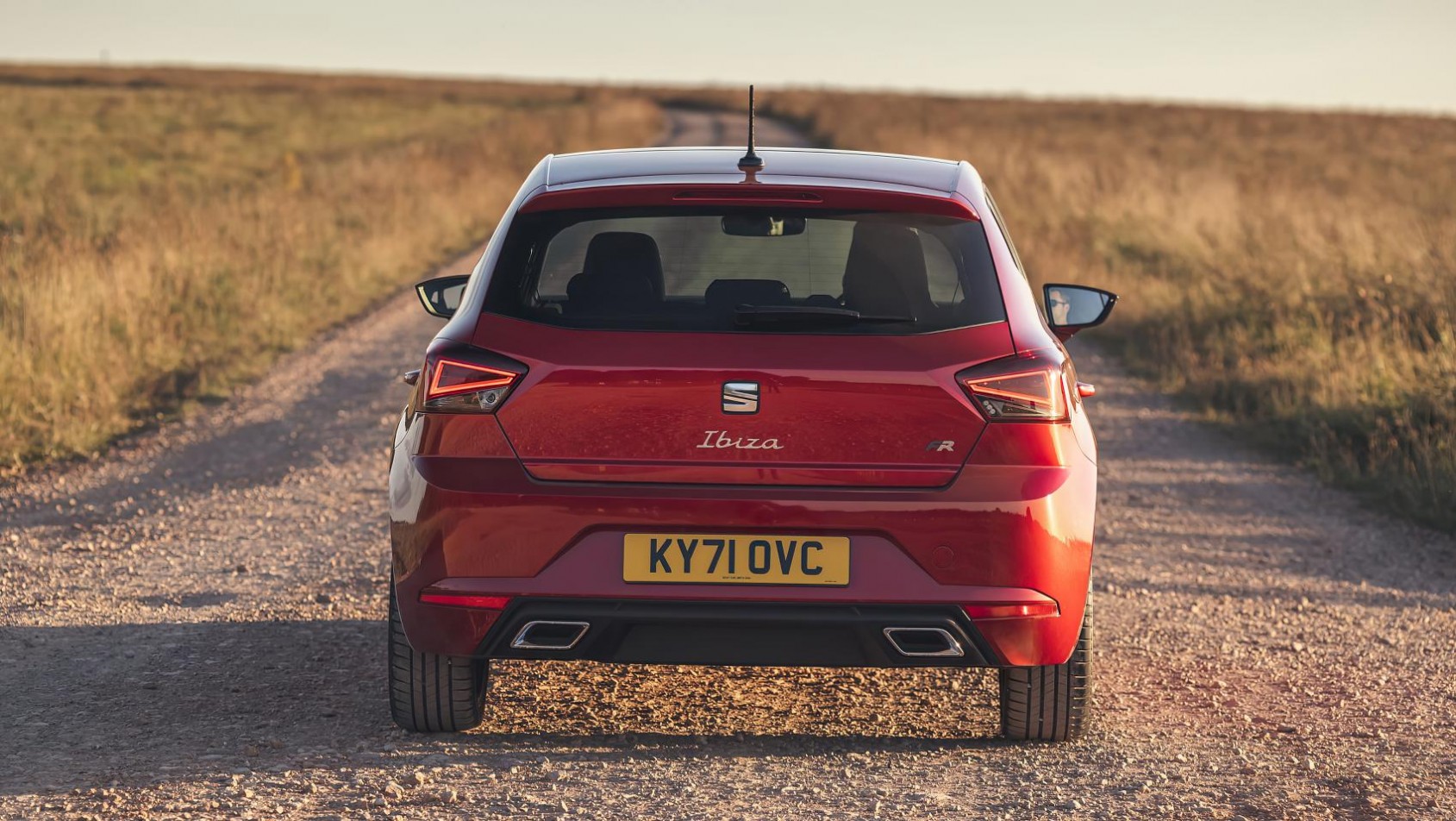SEAT Ibiza 2021 tył