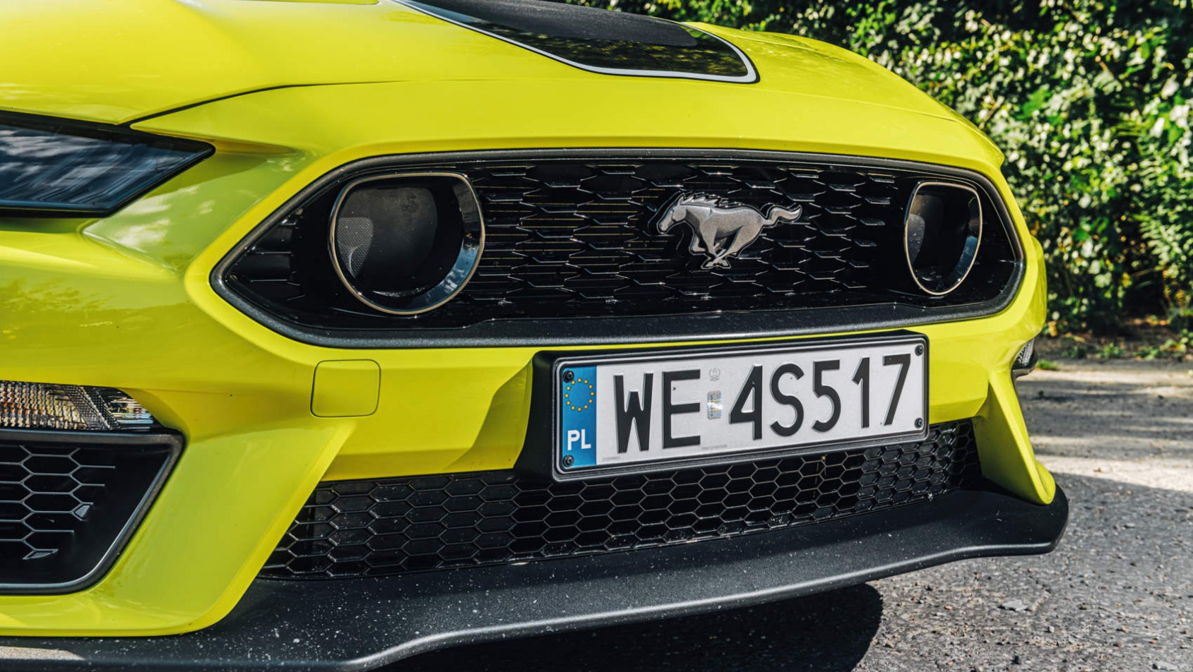 Mustang Mach 1 - grill