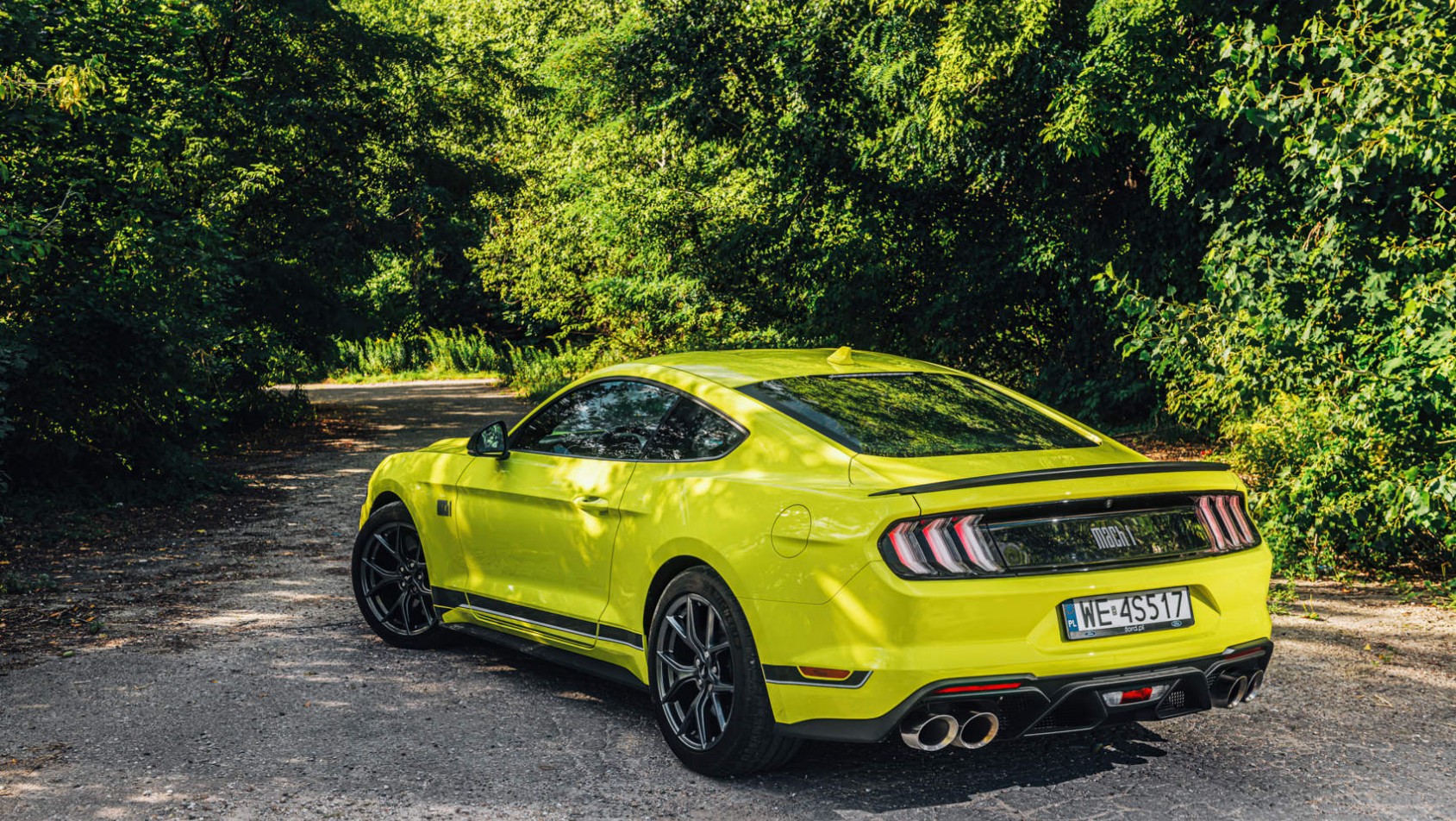 Mustang Mach 1 - zbliżenie na tył auta