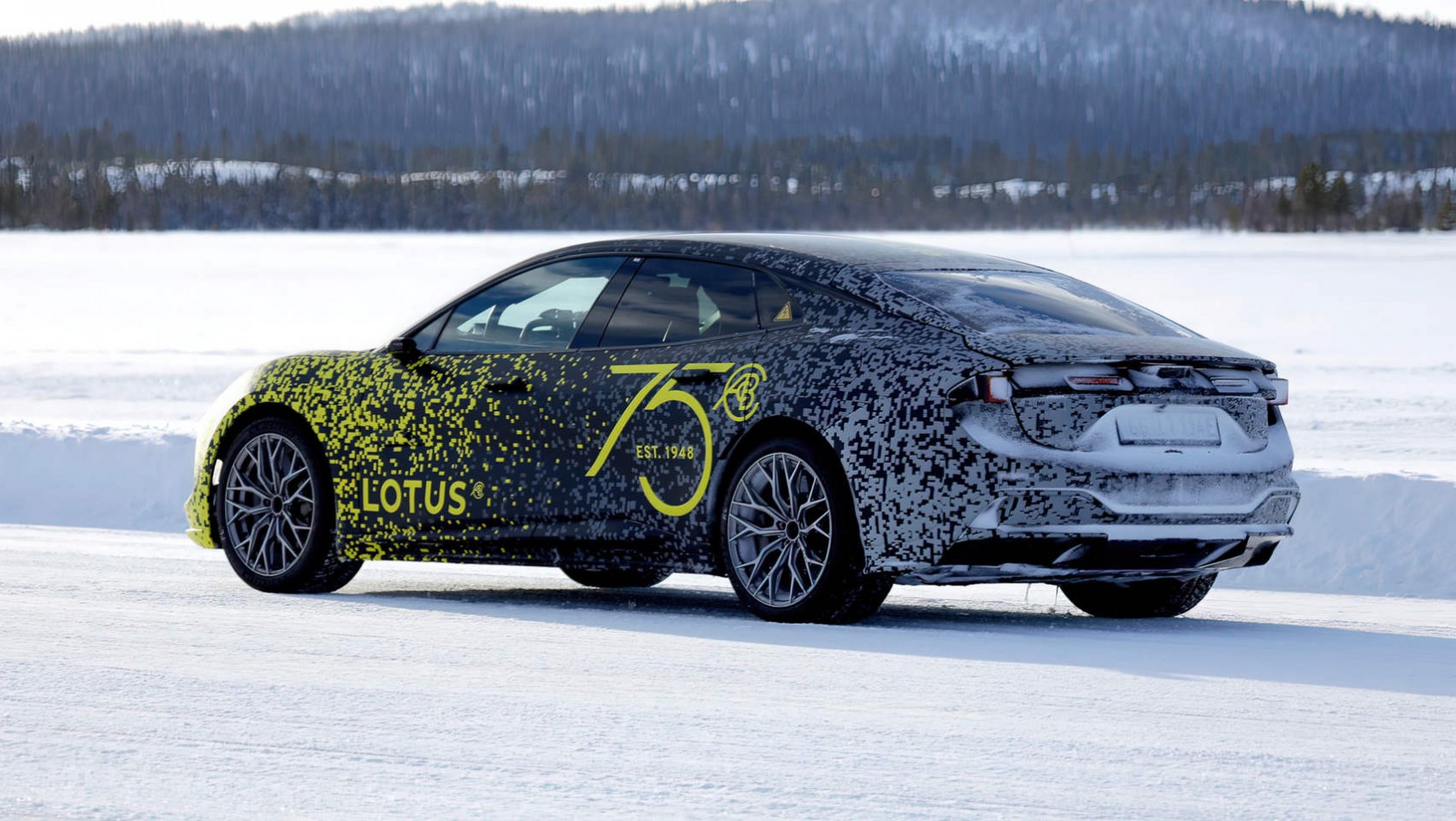 Lotus Emeya sylwetka