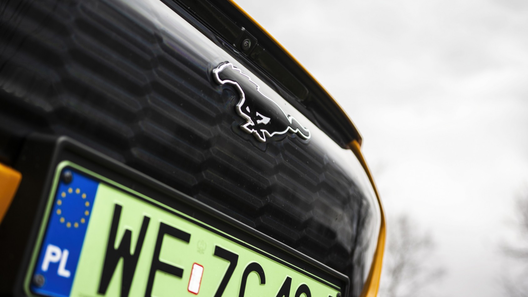 Ford Mustang Mach-E GT logo