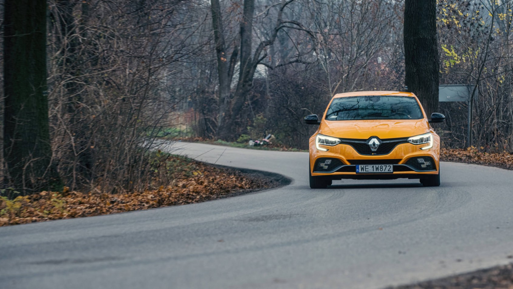 Renault Megane R.S. - na leśnych drogach