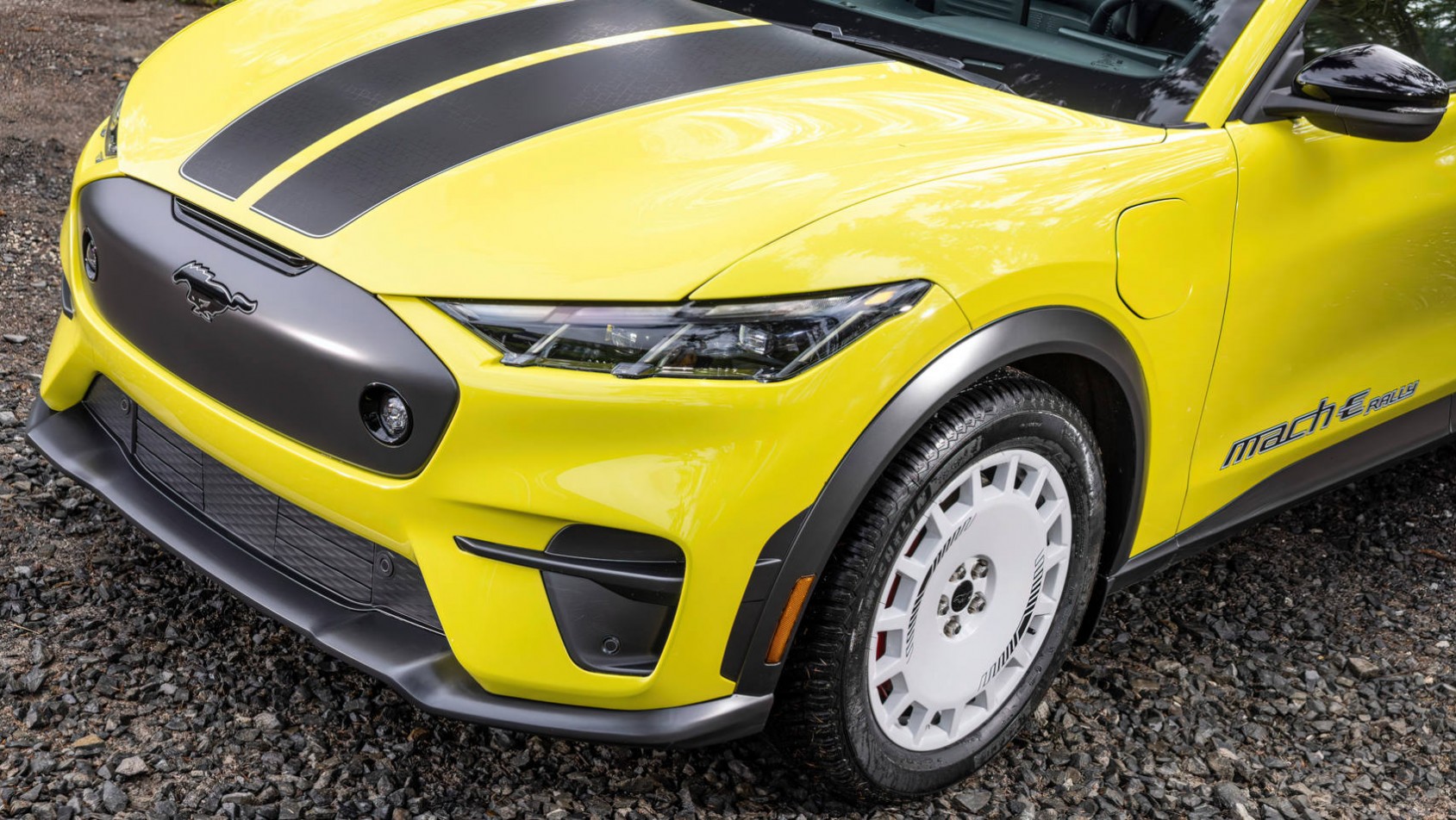 Ford Mustang Mach-E Ford Mustang Mach-E Rally pasy