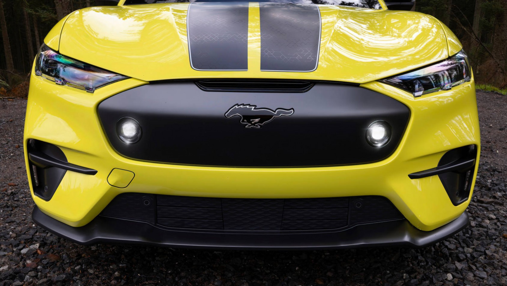 Ford Mustang Mach-E Ford Mustang Mach-E Rally grill