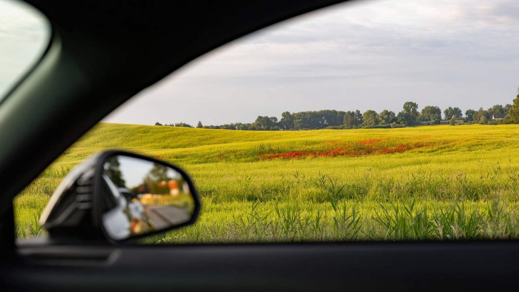 Mazurskie pola pełne maków - Yokohama on Tour