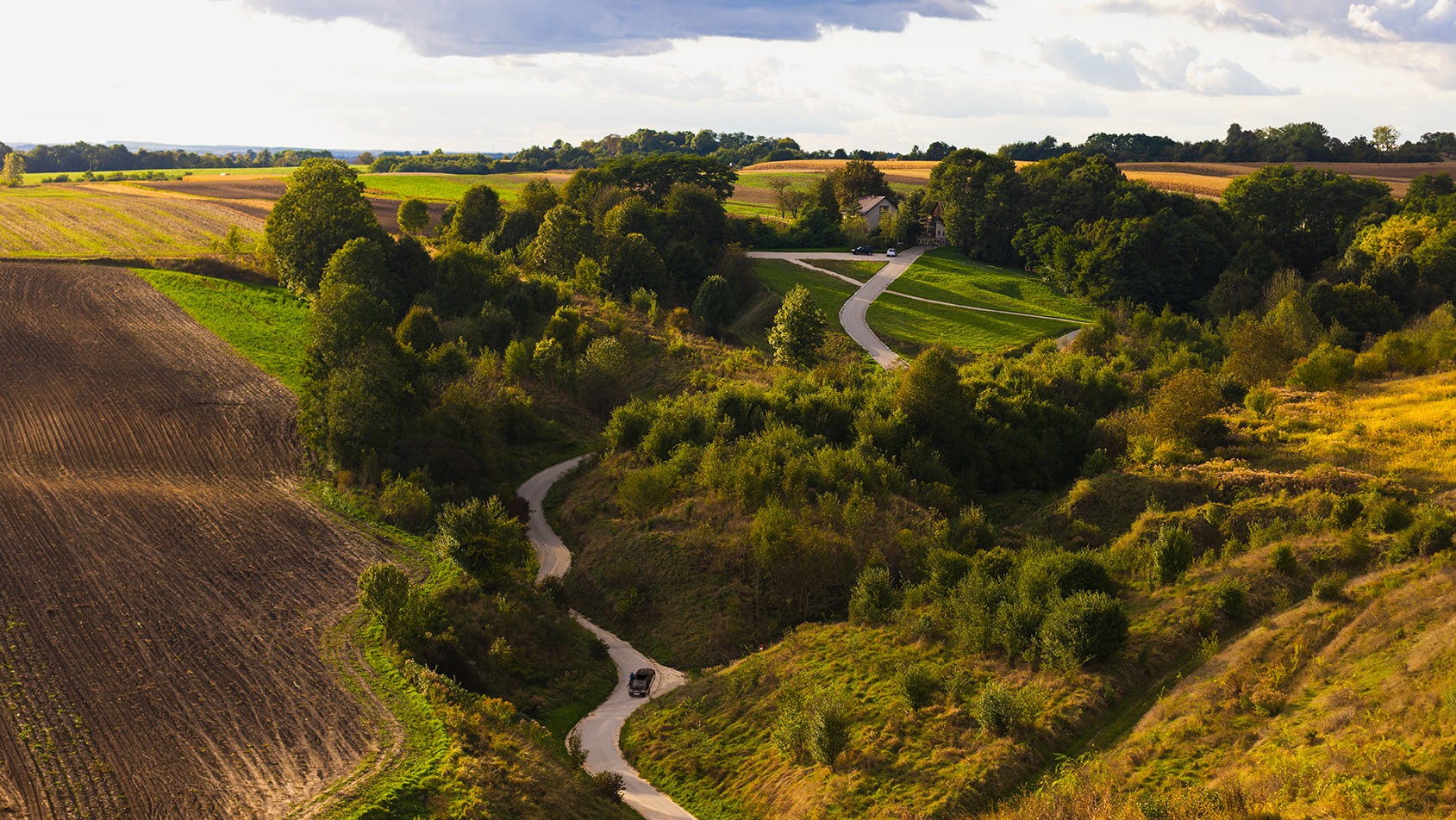 Ponidzie w województwie świętokrzyskim – winnice i krajobraz jak w Toskanii
