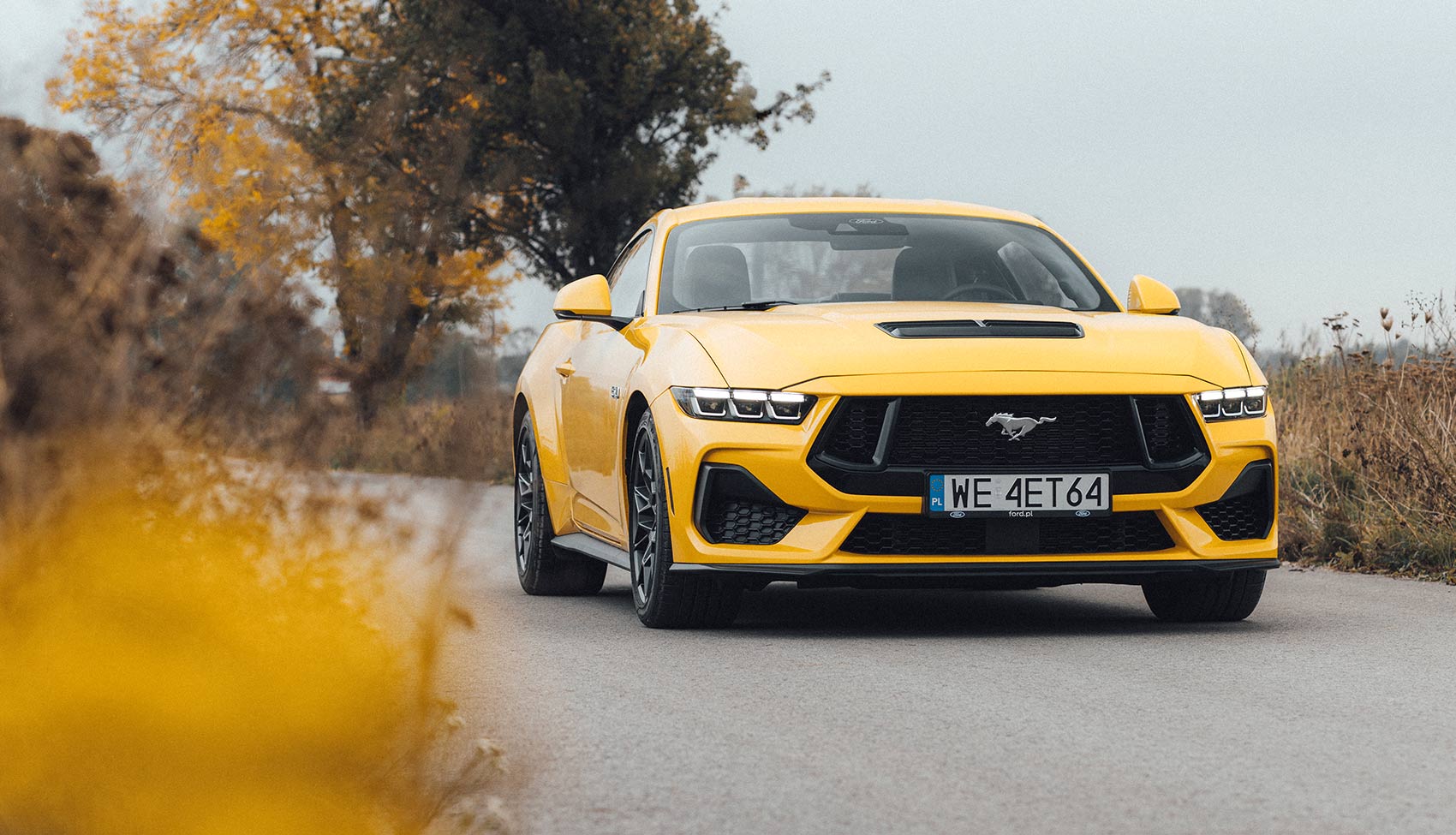 Mustang GT na polskich drogach