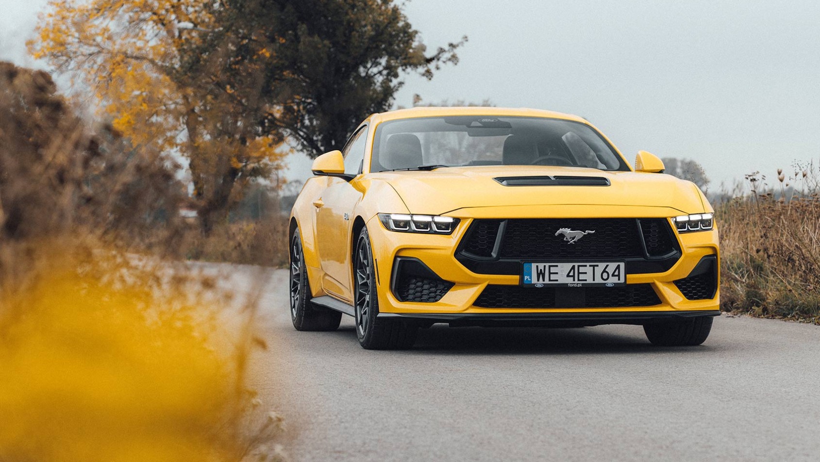 Mustang GT na polskich drogach
