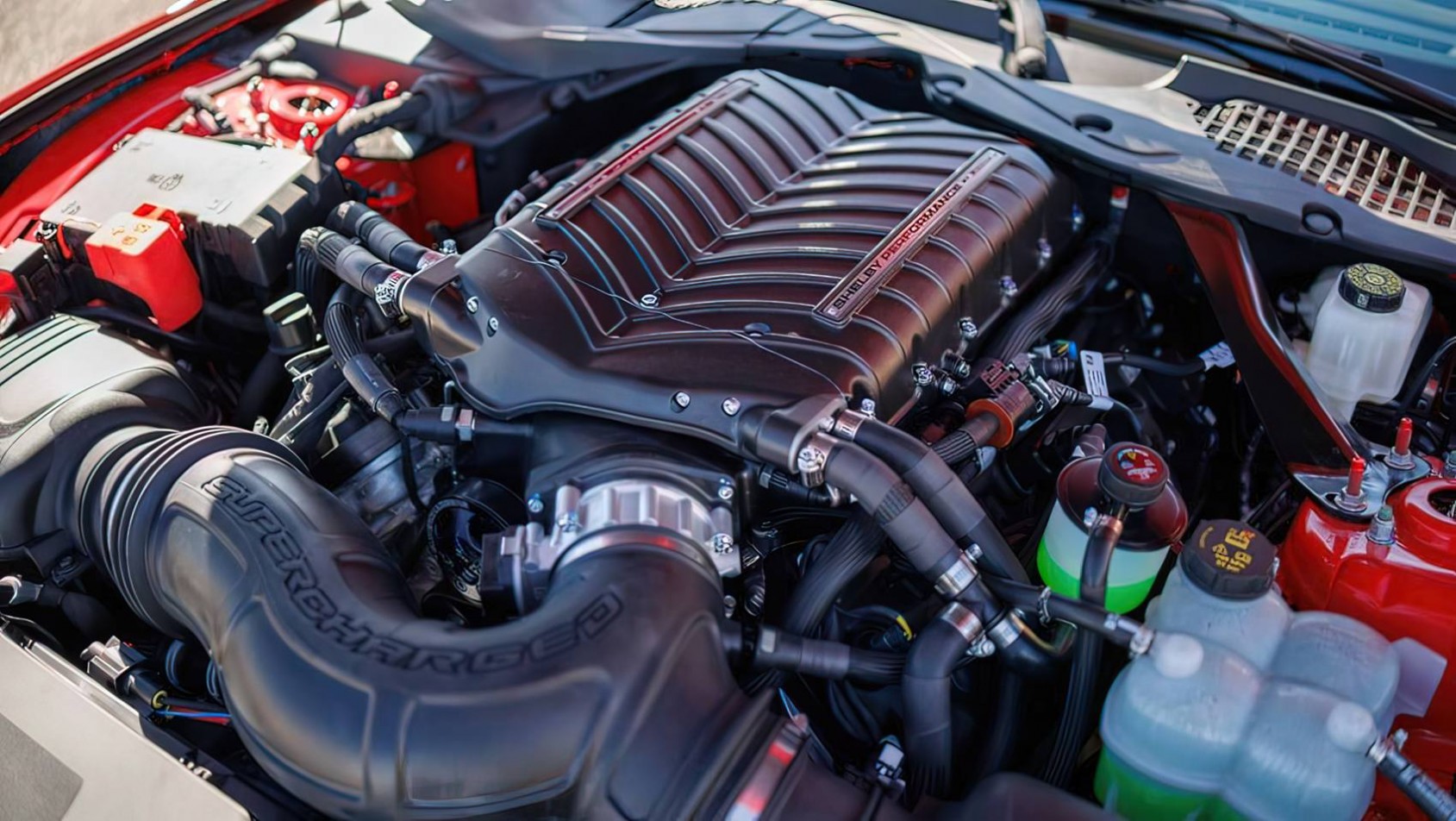 Shelby Mustang GT350 silnik V8