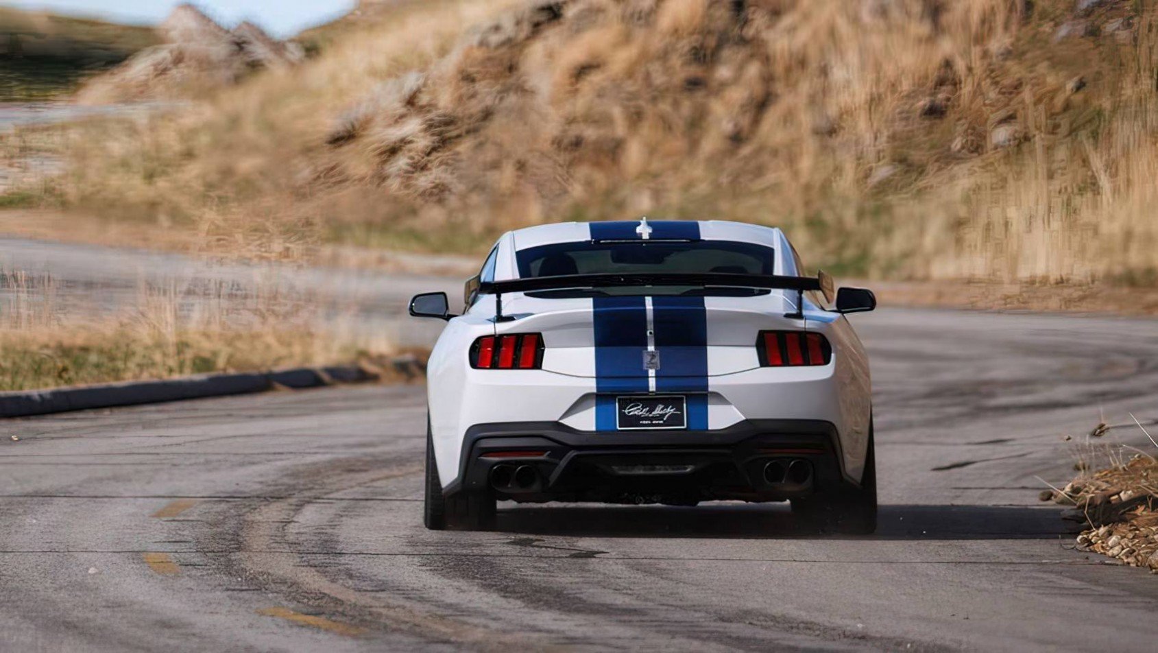 2025 Shelby Mustang GT350R malowanie