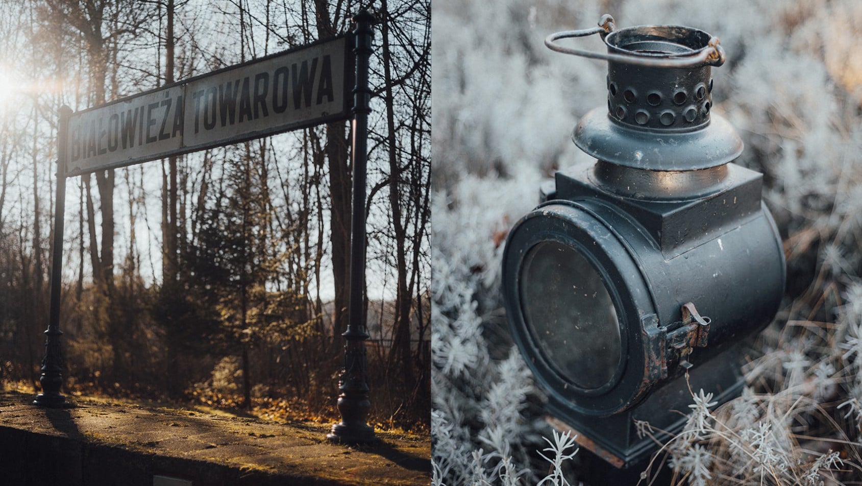 Białowieża Towarowa - Yokohama on Tour