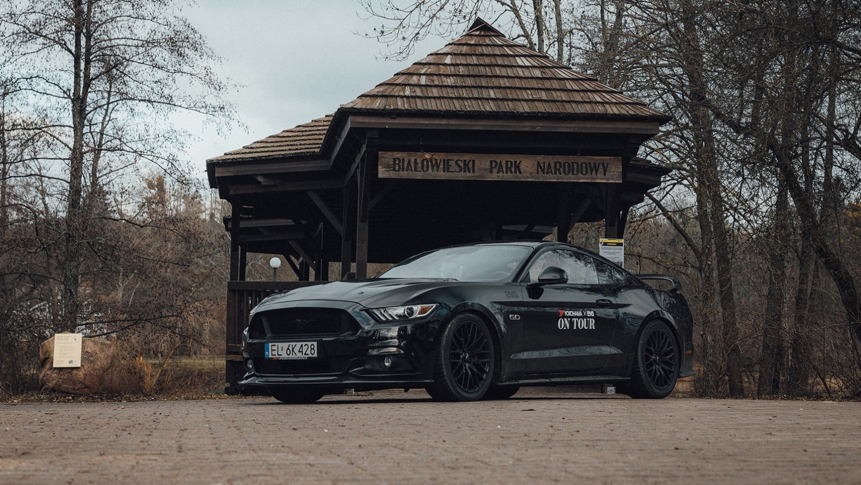 Puszcza Białowieska - brama