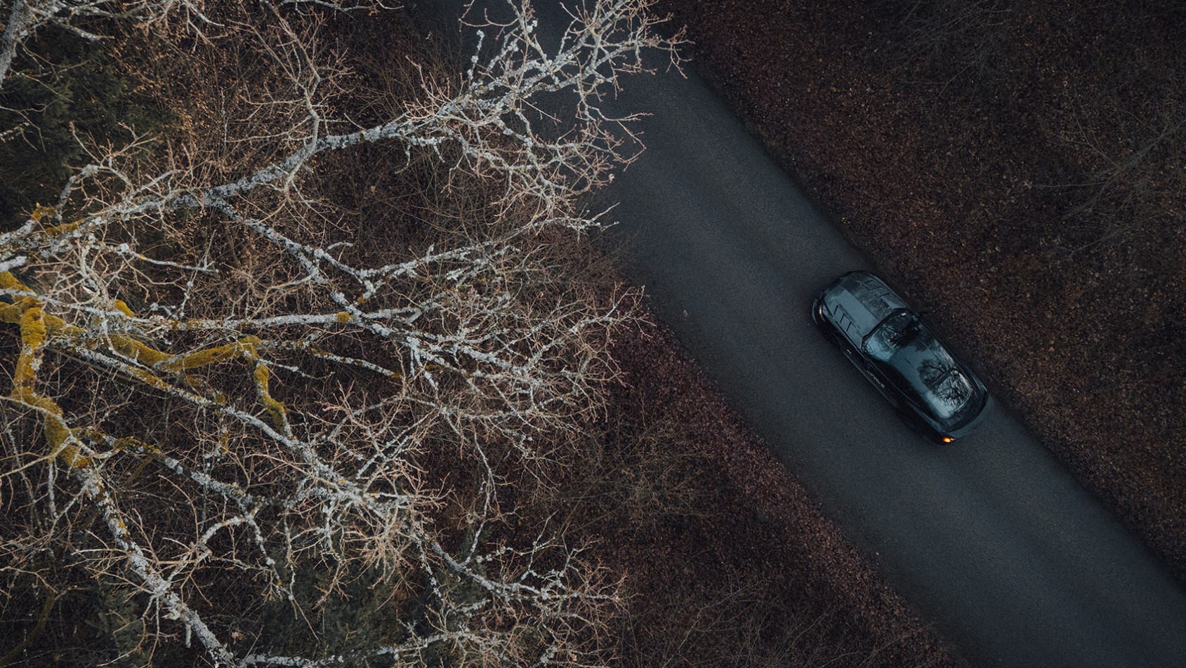 Yokohama on Tour - Puszcza Białowieska - ujęcie dronem