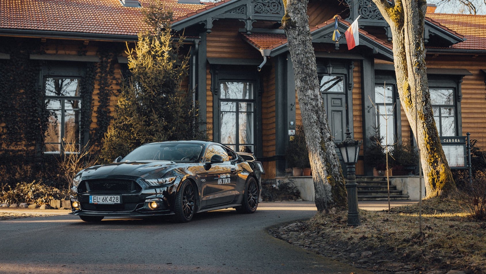 Yokohama on Tour - Białowieża Towarowa