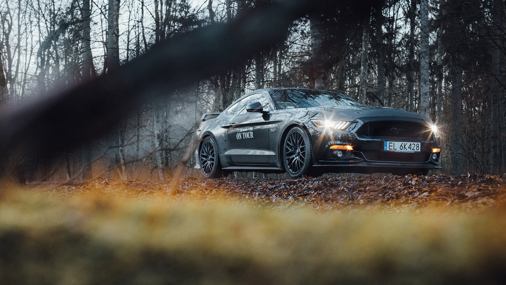 Yokohama on Tour - Puszcza Białowieska - zimą