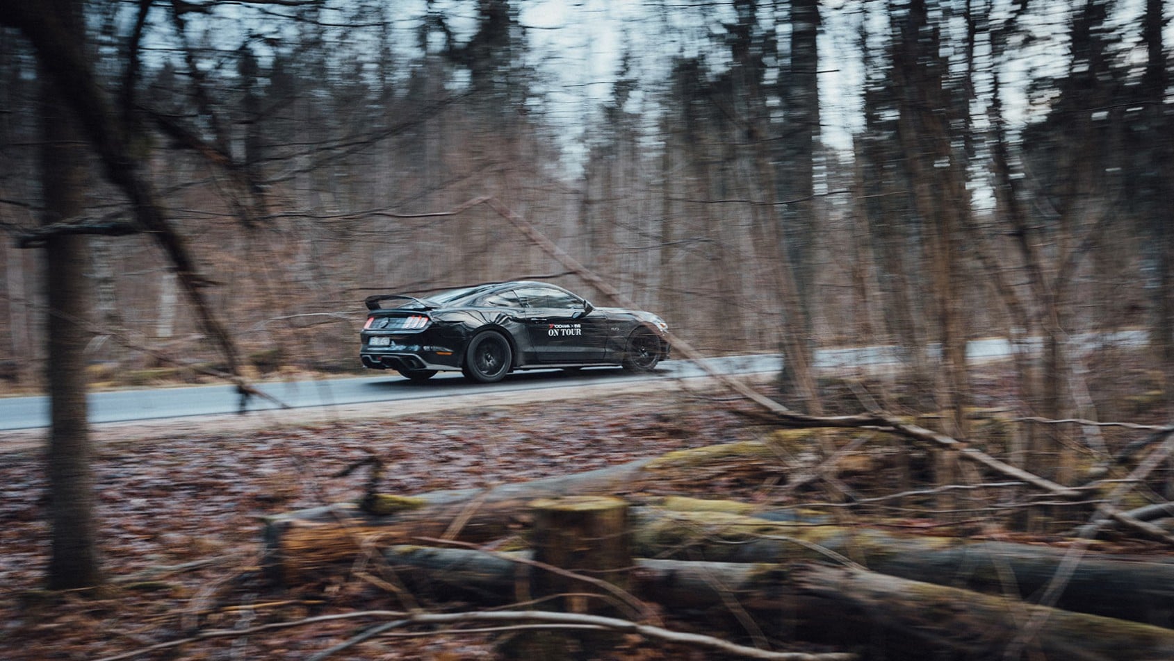 Yokohama on Tour - Puszcza Białowieska - ujęcie w ruchu