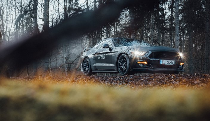 Yokohama on Tour - Puszcza Białowieska - zimą