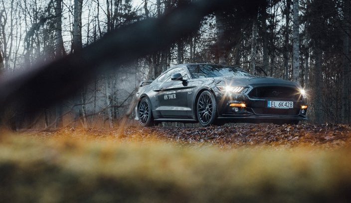 Yokohama on Tour - Puszcza Białowieska Yokohama on Tour - Puszcza Białowieska - zimą