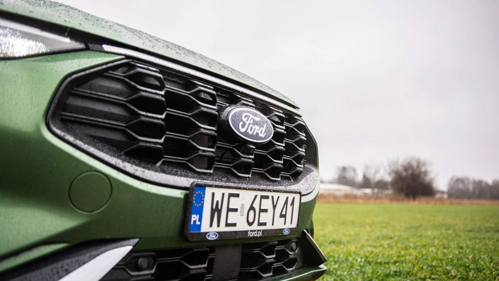 Ford Kuga grill