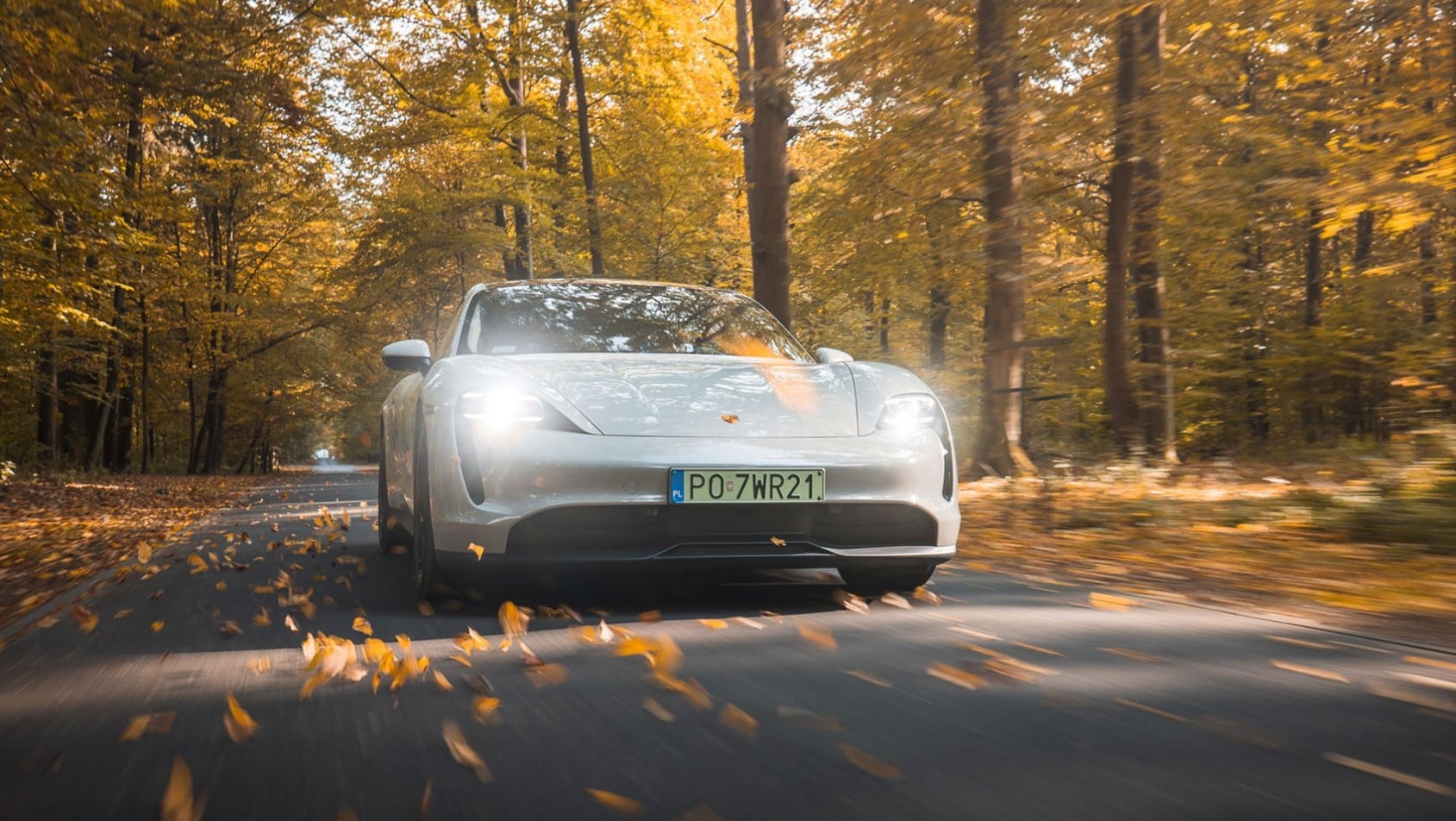 Porsche Taycan jadące leśną drogą wśród jesiennych liści