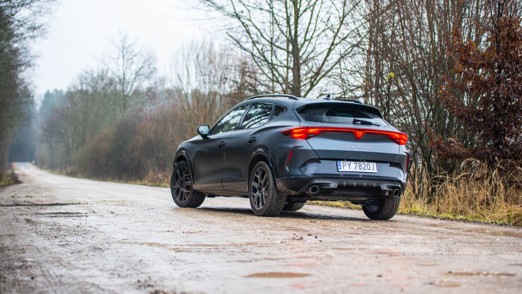 2026 Cupra Formentor tył