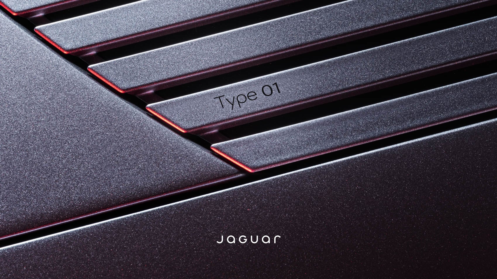 Jaguar Type 01 detal
