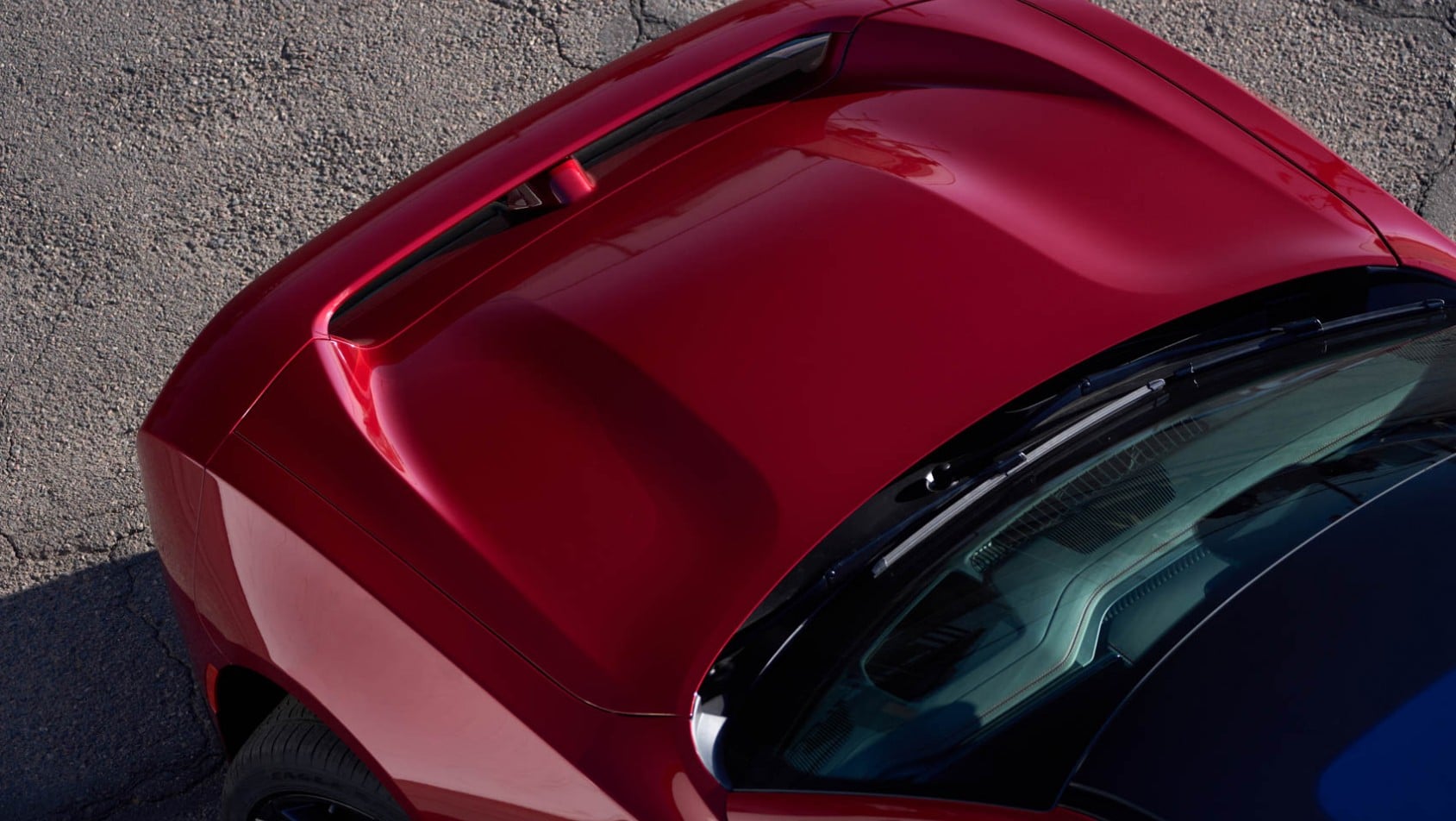 Dodge Charger detal