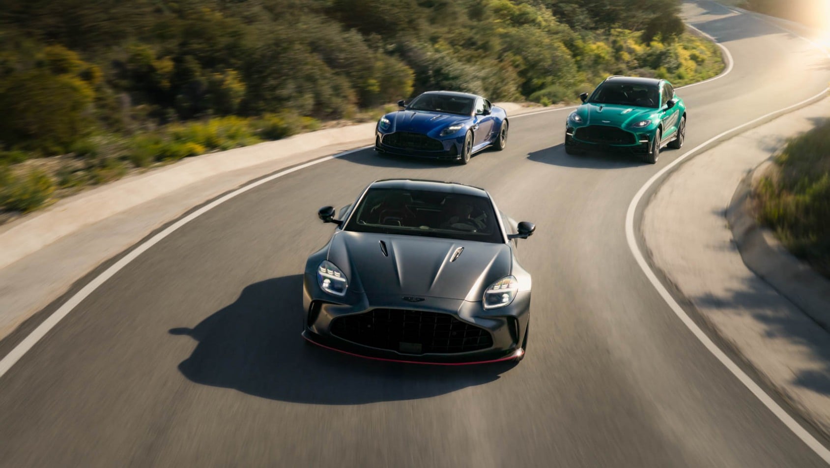 Aston Martin lineup goodwood